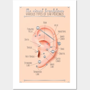 Ear Piercing Chart Posters and Art